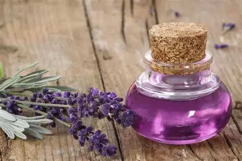 lavender oil3