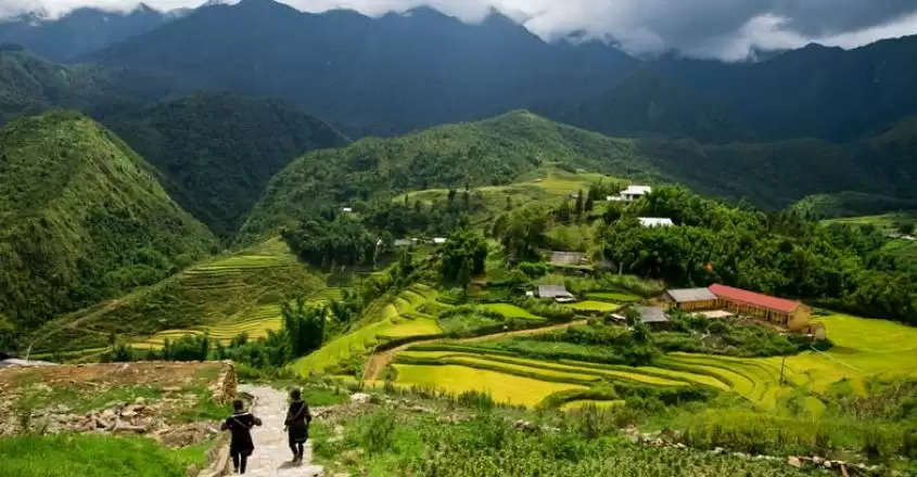 sapa