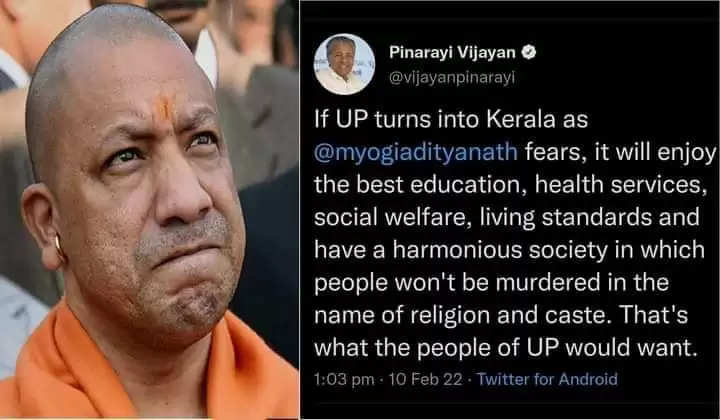 yogi