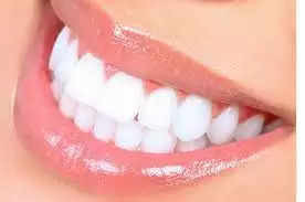 teeth