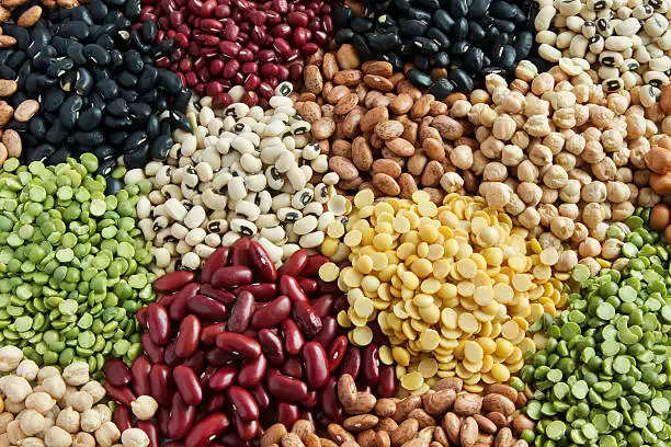 seeds