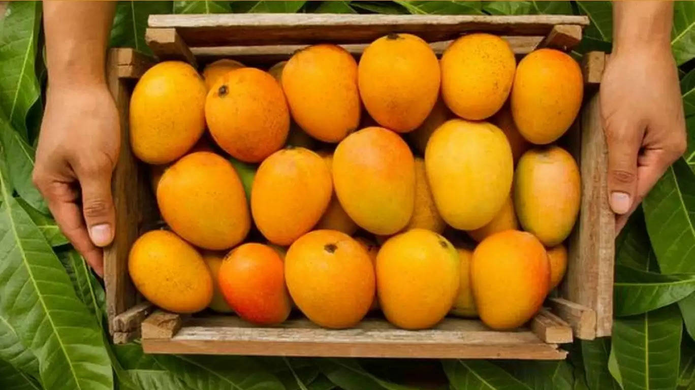 mango