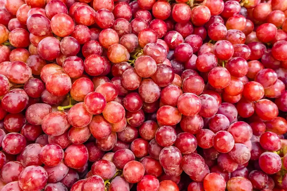 grapes