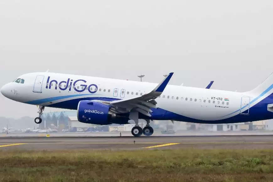 indigo