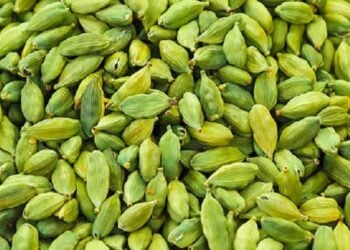 Pods of green cardamom in a pile