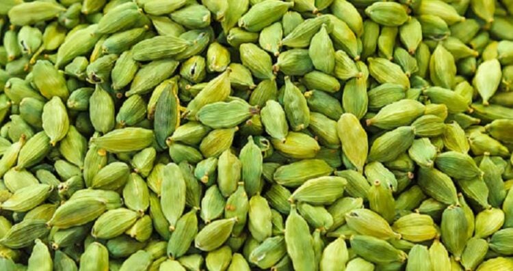 Pods of green cardamom in a pile