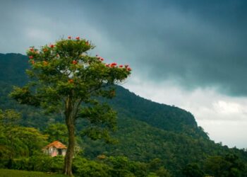 Bonacaud is remotly located in western ghats mountain side