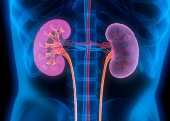 Many people have kidney disease when they are older.