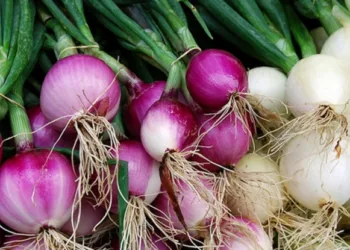 red and white onions