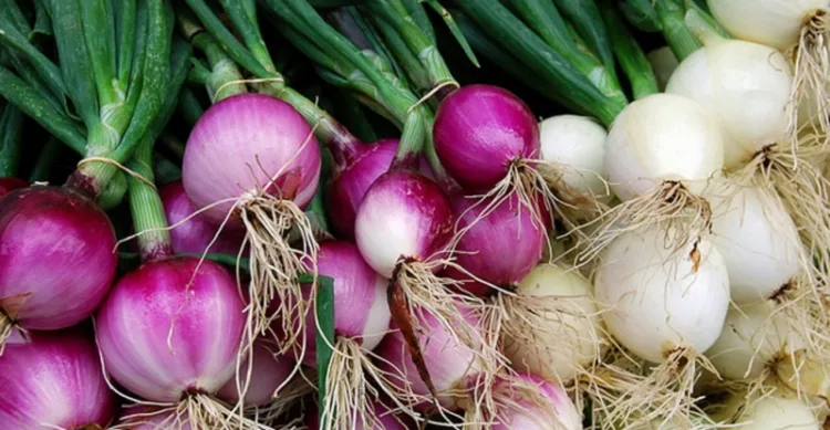 red and white onions