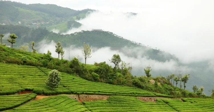 COONOOR