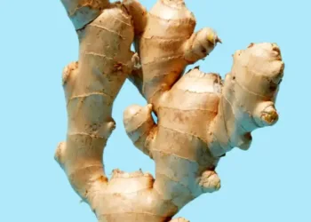 50-healthiest-foods-ginger-root