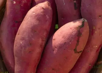 Sweet-Potatoes