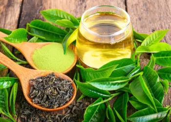 Green-tea-extract-improves-gut-health-glucose-levels