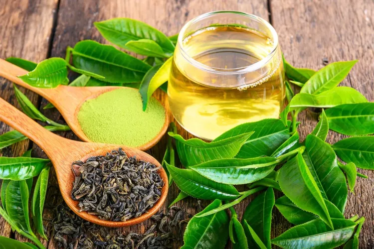 Green-tea-extract-improves-gut-health-glucose-levels