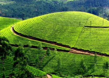 Tourist places in Idukki