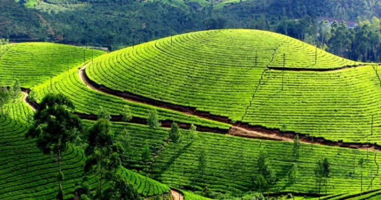 Tourist places in Idukki