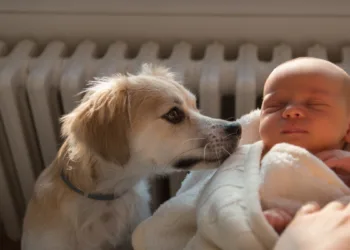 Introducing dogs to newborns_social