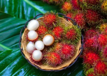 Rambutan Benefits