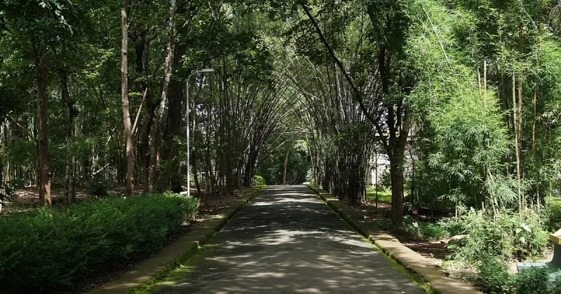 Nilambur, Malappuram