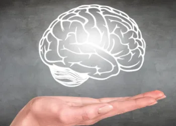 brain-illustration-hovering-over-hand