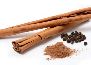 Cinnamomum_verum_spices