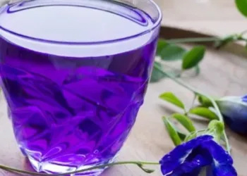 butterfly_pea_flower_tea