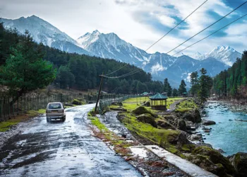 The beautiful nature with Himalaya Mountain background (Kashmir, India)