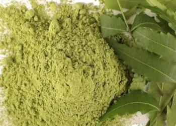 neem-leaf-powder-500x500