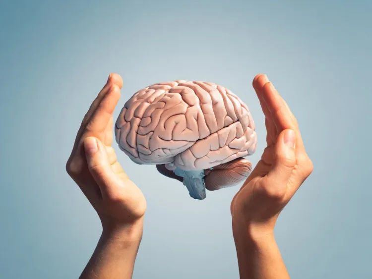 thequint_2023-12_a3f9ef1d-9ede-4bdc-94fb-3f75ef83d222_fragile_brain_care_jpg_s_1024x1024_w_is_k_20_c__5NhFsQkBn9aKS80dnO3t1CIAMv3q_Eg1JWJ2jgwSMM_