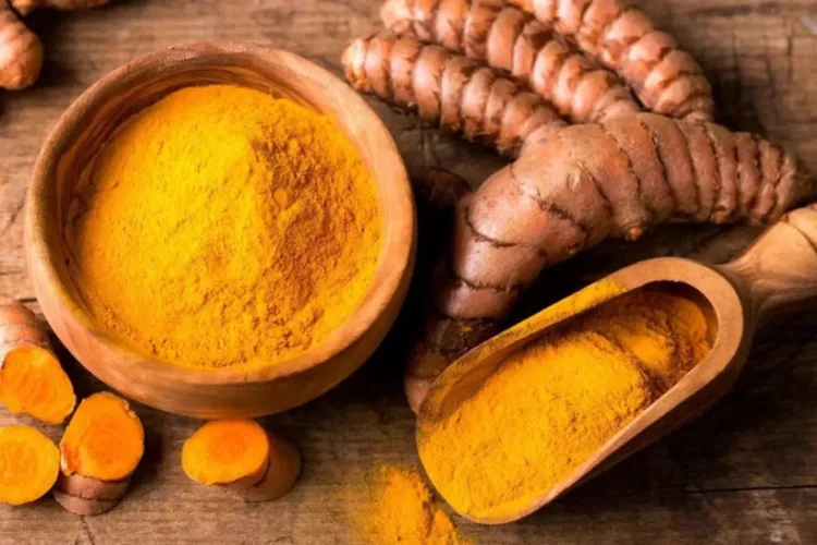 turmeric-1-e1705499954870