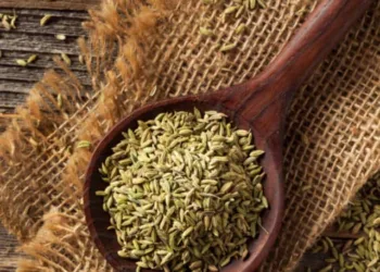 cropped-Fennel-Seeds-1-640x853