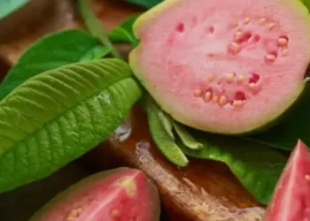 Health-benefits-of-guava-1