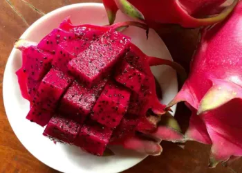 dragon_fruit9_600x