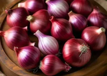 onion-1-kg-product-images-o590003515-p590003515-0-202408070949