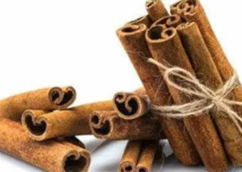 Know the health benefits of cinnamon...