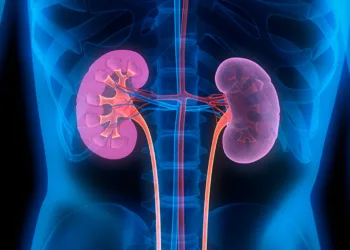 kidney-disease-froedtert-today-1200x628