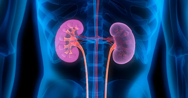 kidney-disease-froedtert-today-1200x628