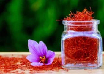 Know the benefits of using saffron oil...