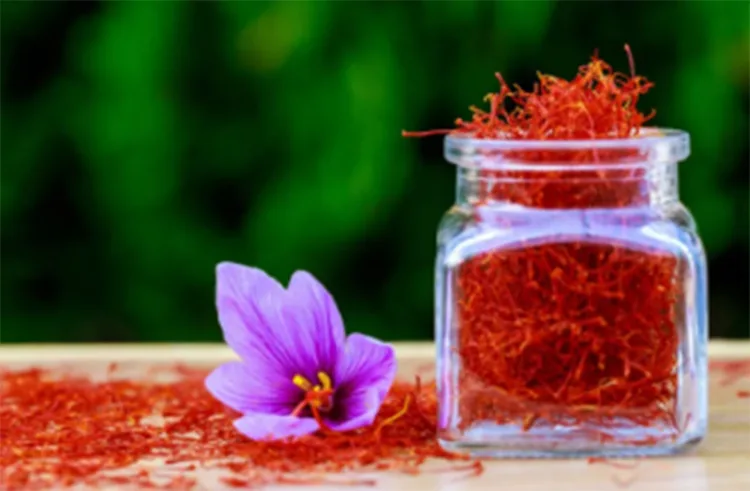 Know the benefits of using saffron oil...