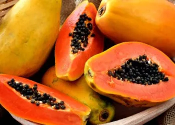 papaya+fruit