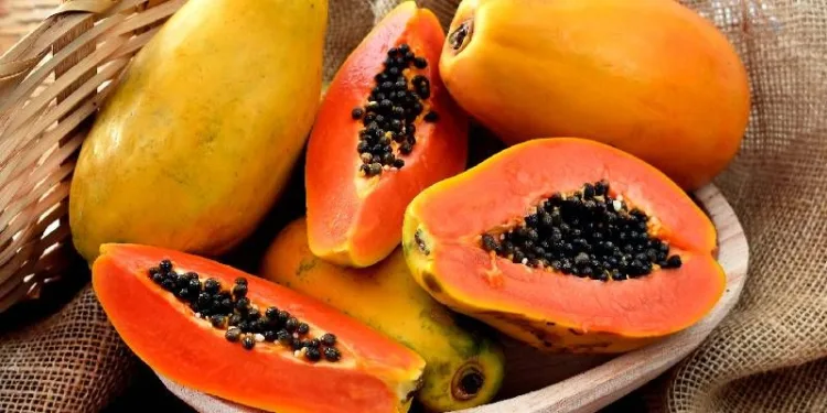 papaya+fruit