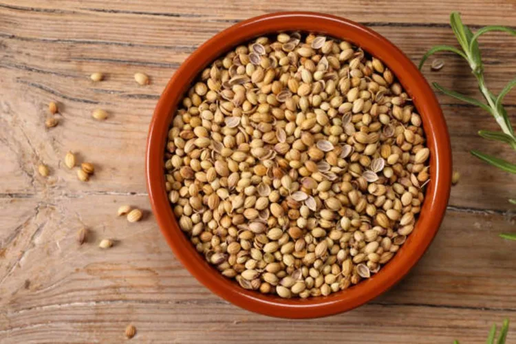 Coriander seeds. High resolution image 45Mp taken with Canon EOS R5 with f2.8 macro lens