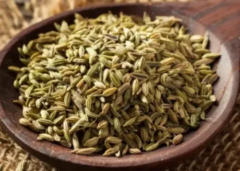 fennel-seeds-perum-jeerakam-959587