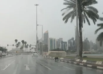xr:d:DAFxrkDFJ8g:119,j:1467455509250708708,t:23110210