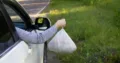 a man throws garbage in a bag out of a car on the side of the road