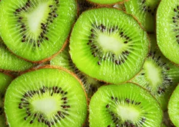 kiwi-benefits-2-2024-10-b469309d0df33543c1fe1e2d76a3c8bb