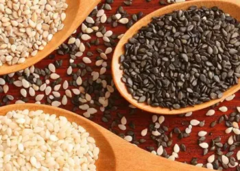 sesameseeds2x-58a4b41c3df78c4758d5c507