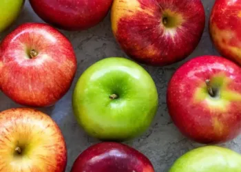 types-of-apples-1