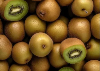 fresh-kiwi-fruit-10kg-box